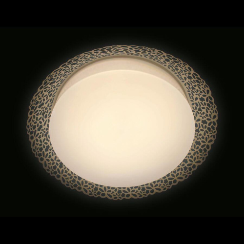 Потолочный светодиодный светильник Ambrella light Orbital Design F119 WH 72W D520 Потолочный светодиодный светильник Ambrella light Orbital Design F119 WH 72W D520