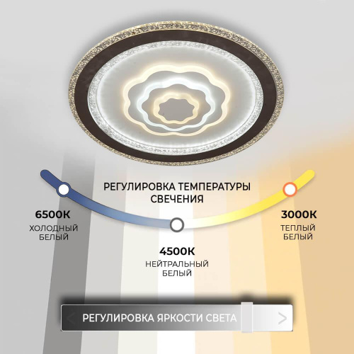 Потолочный светильник Seven Fires Ejmund 75383.01.09.136 Потолочный светильник Seven Fires Ejmund 75383.01.09.136