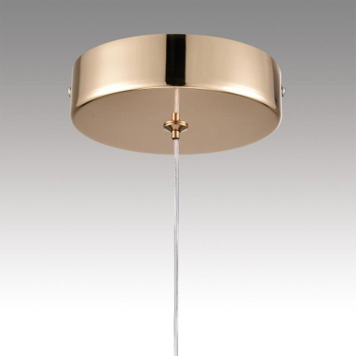 Подвесной светодиодный светильник Lumion Ledio Rimini 8083/1A Подвесной светодиодный светильник Lumion Ledio Rimini 8083/1A