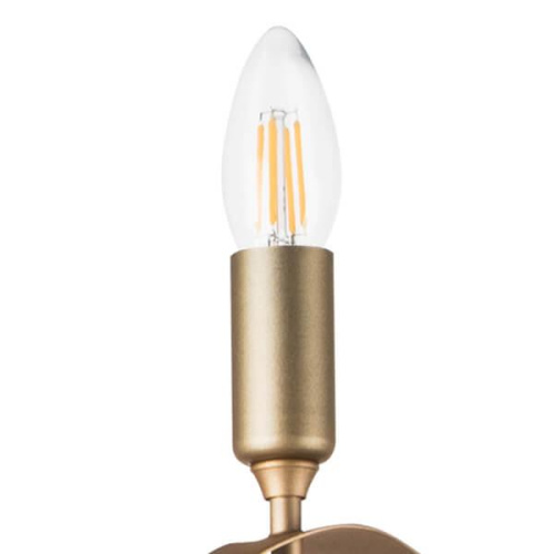 Подвесная люстра Lightstar Ragno 733283