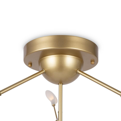 Потолочный светильник Freya FR5049CL-36G Потолочный светильник Freya FR5049CL-36G