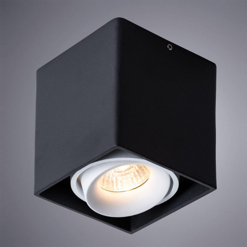 Потолочный светильник Arte Lamp Pictor A5654PL-1BK Потолочный светильник Arte Lamp Pictor A5654PL-1BK