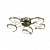 Потолочная светодиодная люстра ST Luce Mieleno SL399.312.05