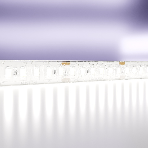 Светодиодная влагозащищенная лента Maytoni Technical 20W/m 180LED/m 2835SMD холодный белый 5M 10159 Светодиодная влагозащищенная лента Maytoni Technical 20W/m 180LED/m 2835SMD холодный белый 5M 10159
