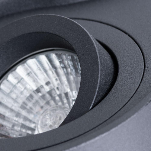 Потолочный светильник Arte Lamp Falcon A5645PL-2BK Потолочный светильник Arte Lamp Falcon A5645PL-2BK