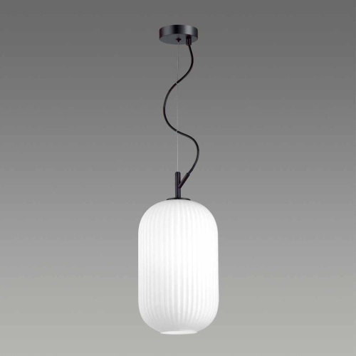 Подвесной светильник Odeon Light Roofi 4751/1 Подвесной светильник Odeon Light Roofi 4751/1