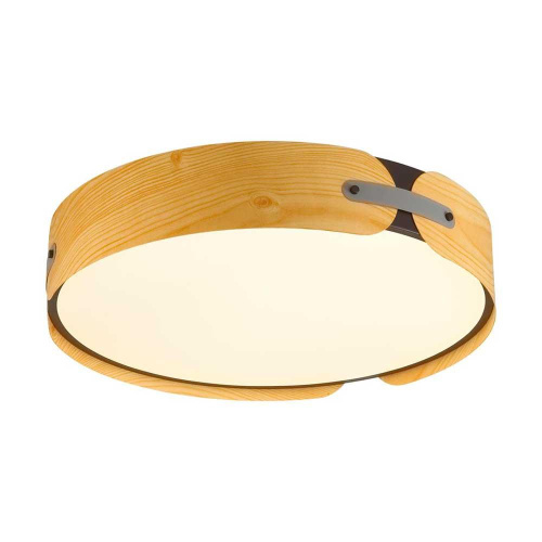 Потолочный светодиодный светильник Sonex Avra Coraggio 7721/120L Потолочный светодиодный светильник Sonex Avra Coraggio 7721/120L