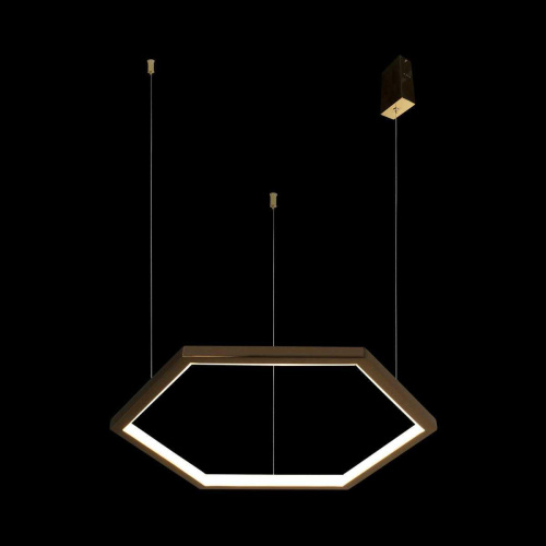 Подвесной светодиодный светильник Loft IT Ring 10016S Подвесной светодиодный светильник Loft IT Ring 10016S