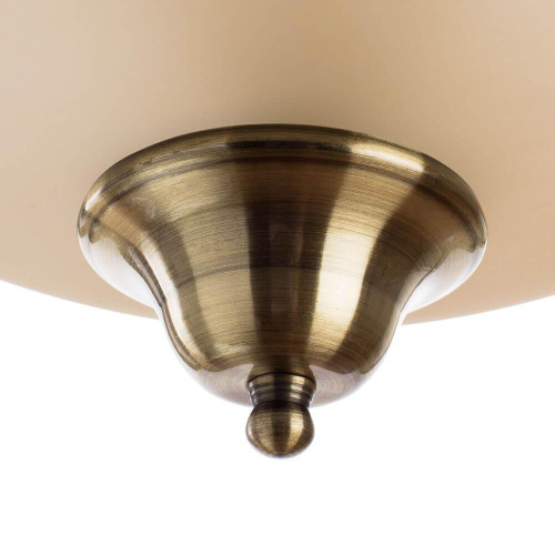 Потолочный светильник Arte Lamp Safari A6905PL-2AB Потолочный светильник Arte Lamp Safari A6905PL-2AB