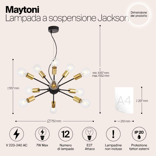 Подвесная люстра Maytoni Jackson T546PL-12B Подвесная люстра Maytoni Jackson T546PL-12B
