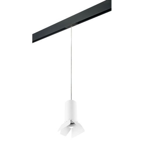 Трековый светильник Lightstar Rullo (214486+595857+202436) PRORP486436 Трековый светильник Lightstar Rullo (214486+595857+202436) PRORP486436