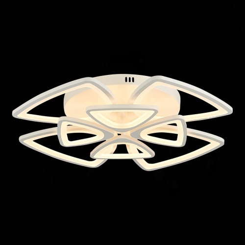 Потолочная светодиодная люстра Evoled Lobilu SLE501152-08 Потолочная светодиодная люстра Evoled Lobilu SLE501152-08