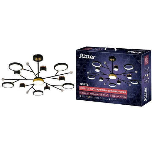 Потолочная люстра Ritter NOTTE 51596 2 Потолочная люстра Ritter NOTTE 51596 2