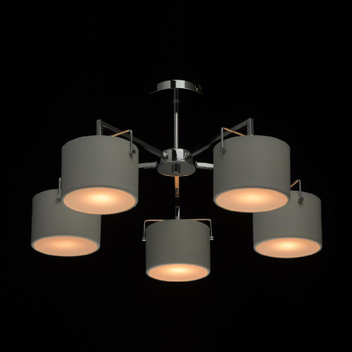 Потолочная люстра MW-Light Сайрус 1 721010105 Потолочная люстра MW-Light Сайрус 1 721010105