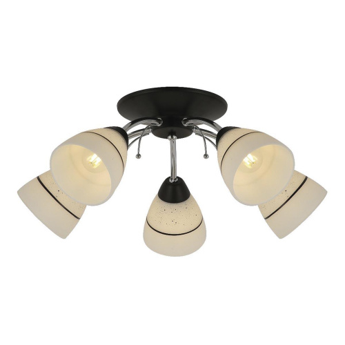 Потолочная люстра Toplight Winnifred TL1255D-05BC Потолочная люстра Toplight Winnifred TL1255D-05BC