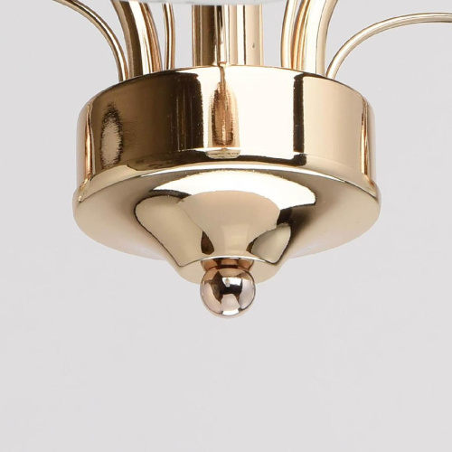 Потолочная люстра MW-Light Олимпия 638010203 Потолочная люстра MW-Light Олимпия 638010203