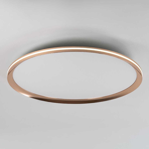 Потолочный cветильник LED4U L3020-600 GD Потолочный cветильник LED4U L3020-600 GD