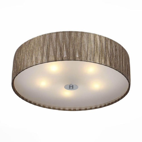 Накладной светильник ST Luce Rondella SL357.702.05 Накладной светильник ST Luce Rondella SL357.702.05