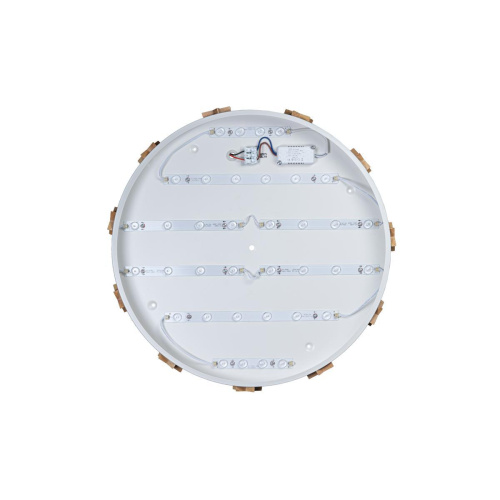 Потолочный светодиодный светильник Loft IT Axel 10006/36 white Потолочный светодиодный светильник Loft IT Axel 10006/36 white