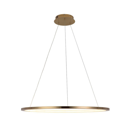 Подвесной светодиодный светильник Loft IT Ring 10014L Подвесной светодиодный светильник Loft IT Ring 10014L