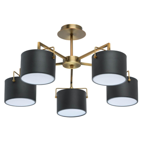 Потолочная люстра MW-Light Сайрус 2 721010205 Потолочная люстра MW-Light Сайрус 2 721010205