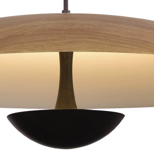 Подвесной светильник Lumien Hall Arta 8007/1PS-WD Подвесной светильник Lumien Hall Arta 8007/1PS-WD