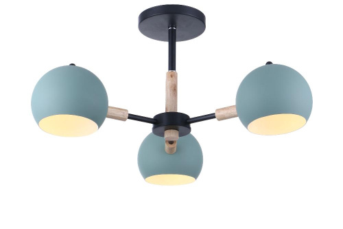 Потолочная люстра Freya Trisha FR5032CL-03B Потолочная люстра Freya Trisha FR5032CL-03B