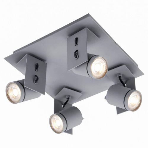 Спот Lussole Loft GRLSP-8024 Спот Lussole Loft GRLSP-8024