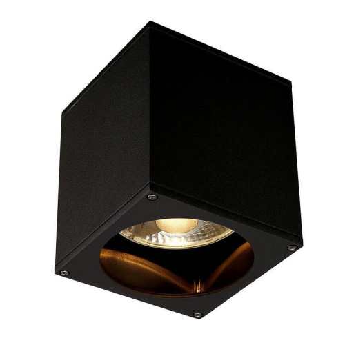 Уличный светильник SLV Big Theo Ceiling Out 229555 Уличный светильник SLV Big Theo Ceiling Out 229555