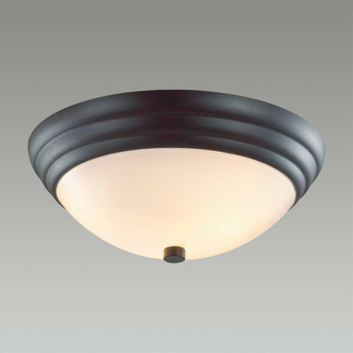 Настенно-потолочный Lumion Vintage Kayla 5263/2C Настенно-потолочный Lumion Vintage Kayla 5263/2C