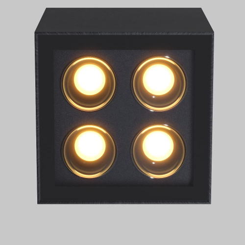Потолочный светильник Outdoor O309CL-L8GF3K Потолочный светильник Outdoor O309CL-L8GF3K
