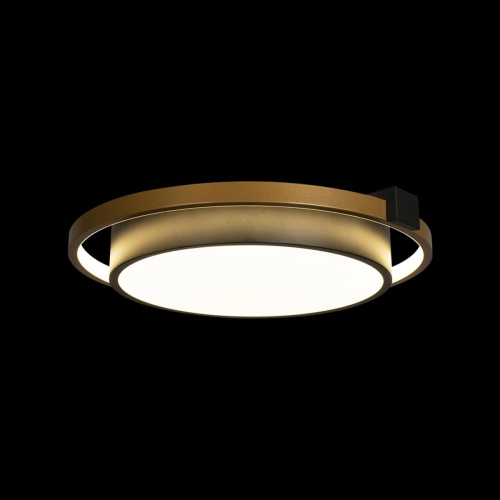 Потолочный светодиодный светильник Loft IT Mike 10169 Потолочный светодиодный светильник Loft IT Mike 10169