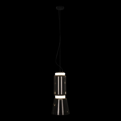 Подвесной светодиодный светильник Loft IT Noctambule 10193/S Подвесной светодиодный светильник Loft IT Noctambule 10193/S