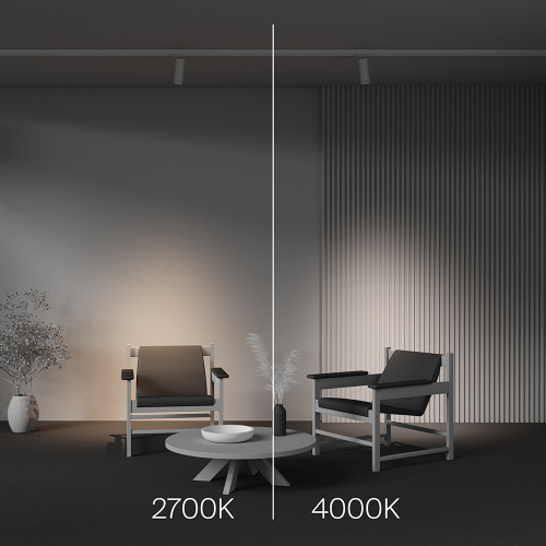 Трековый светильник Technical TR198-3-20W2.7K-Z-W Трековый светильник Technical TR198-3-20W2.7K-Z-W