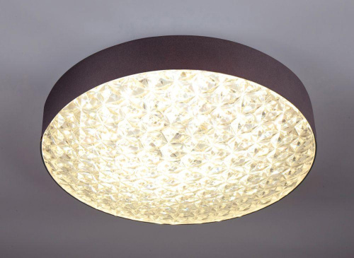 Потолочный светодиодный светильник Escada 10246/1LED Потолочный светодиодный светильник Escada 10246/1LED