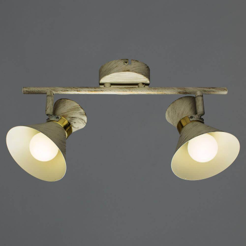 Спот Arte Lamp Baltimore A1406AP-2WG Спот Arte Lamp Baltimore A1406AP-2WG