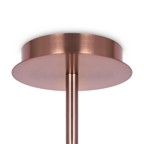 Потолочная люстра Maytoni Erich MOD221PL-10G Потолочная люстра Maytoni Erich MOD221PL-10G