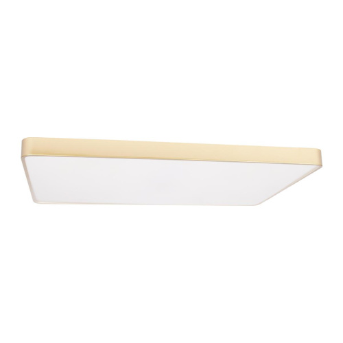 Потолочный светодиодный светильник Loft IT Flims 10228/E Потолочный светодиодный светильник Loft IT Flims 10228/E