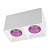 Потолочный светильник Denkirs DK3020WPI DK3085-WH+PI