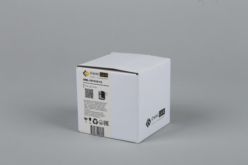 Светодиодный спот Omnilux Lenno OML-101319-12 Светодиодный спот Omnilux Lenno OML-101319-12