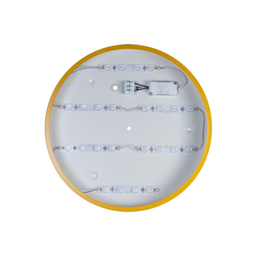 Потолочный светодиодный светильник Loft IT Axel 10002/24 yellow Потолочный светодиодный светильник Loft IT Axel 10002/24 yellow