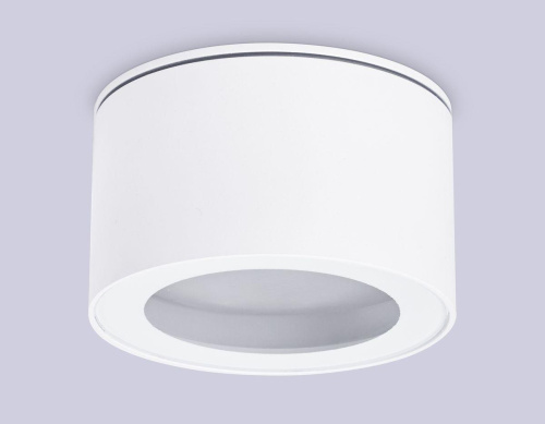 Потолочный светильник Ambrella light Techno Spot IP Protect TN6522 Потолочный светильник Ambrella light Techno Spot IP Protect TN6522
