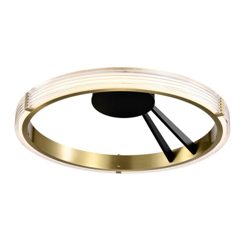 Потолочный светодиодный светильник Lightstar Rotonda 736041 Потолочный светодиодный светильник Lightstar Rotonda 736041