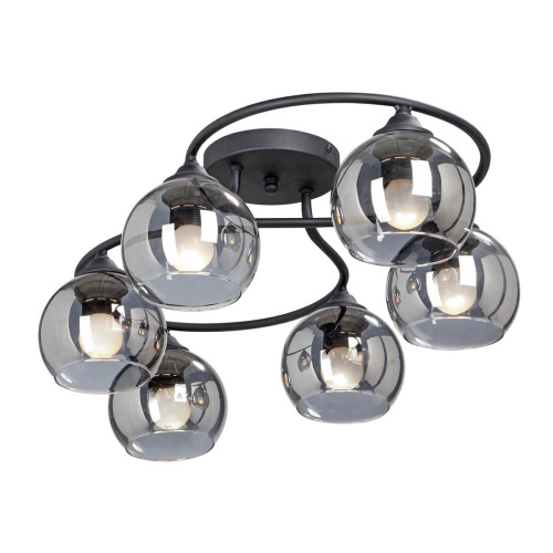 Потолочная люстра Vitaluce V4965-1/6PL Потолочная люстра Vitaluce V4965-1/6PL