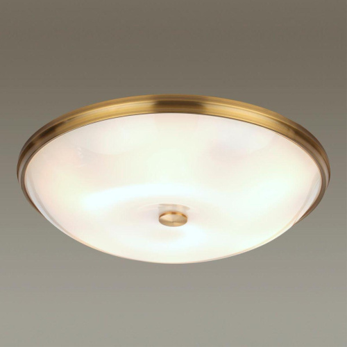 Потолочный светильник Odeon Light Walli Pelow 4956/6 Потолочный светильник Odeon Light Walli Pelow 4956/6
