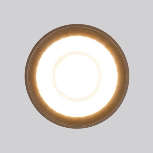Уличный светодиодный светильник Elektrostandard Light Led 35132/H черный a056231 Уличный светодиодный светильник Elektrostandard Light Led 35132/H черный a056231