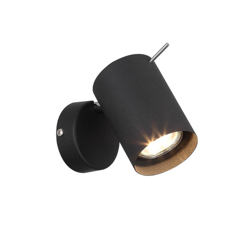 Светодиодный спот ST Luce Fanale SL597.401.01 Светодиодный спот ST Luce Fanale SL597.401.01