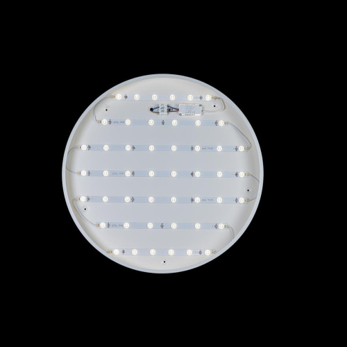 Потолочный светодиодный светильник Loft IT Axel 10002/48 white Потолочный светодиодный светильник Loft IT Axel 10002/48 white