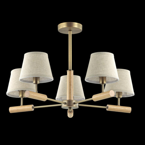 Потолочная люстра Lumion Robin 3703/5C Потолочная люстра Lumion Robin 3703/5C