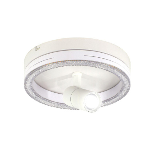 Потолочный светодиодный светильник Escada 20044SMA/02LED WH Потолочный светодиодный светильник Escada 20044SMA/02LED WH
